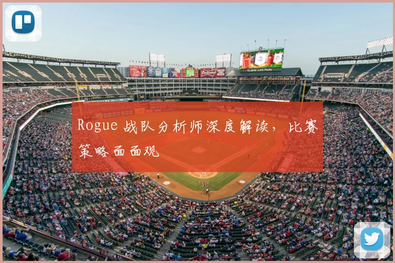 Rogue 战队分析师深度解读，比赛策略面面观