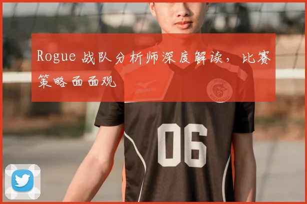 Rogue 战队分析师深度解读，比赛策略面面观
