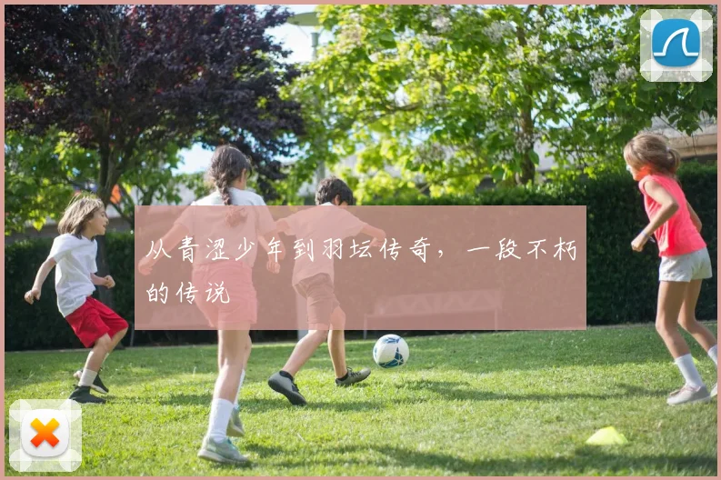 从青涩少年到羽坛传奇,一段不朽的传说