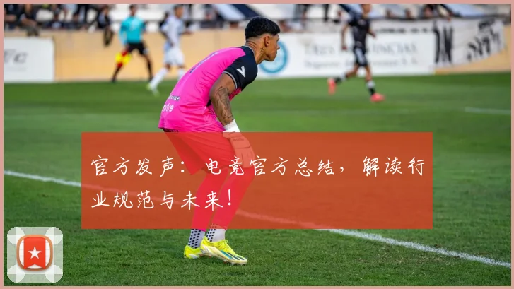 官方发声：电竞官方总结，解读行业规范与未来！