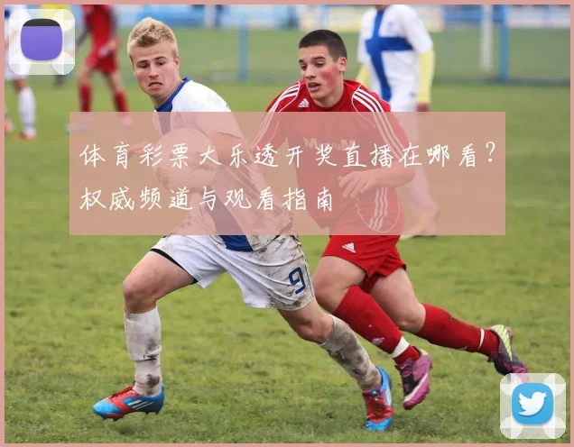 体育彩票大乐透开奖直播在哪看？权威频道与观看指南