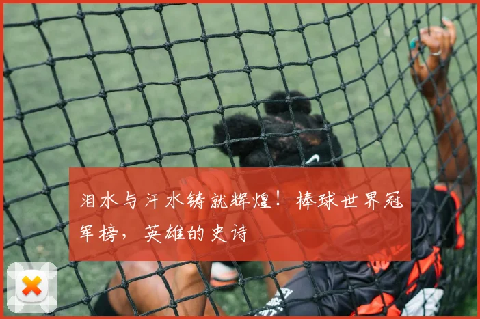 泪水与汗水铸就辉煌！棒球世界冠军榜，英雄的史诗